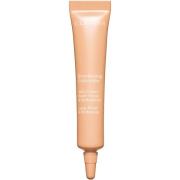 Clarins     Everlasting Concealer 01 Light