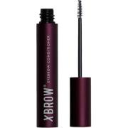 Xlash Xbrow Eyebrow Serum 3 ml