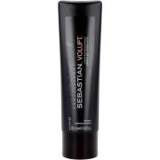 Sebastian Professional Penetraitt Conditioner  250 ml