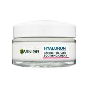 Garnier SkinActive Hyaloronic Aloe Cream 50 ml