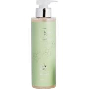 Re-Born Color  Shampoo  500 ml