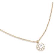 Lily and Rose Petite Miss Sofia necklace  Crystal