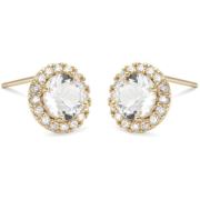Lily and Rose Stella earrings - Crystal (Gold)