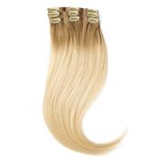 Rapunzel of Sweden Clip-on set Sleek Clip-on set 3 pieces 50 cm C