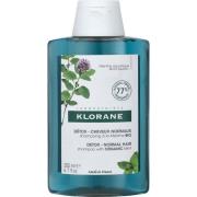 Klorane Organic Aquatic Mint Detox Shampoo 200 ml