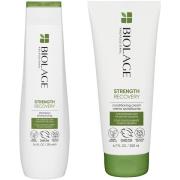 Biolage Strength Recovery  Routine for damaged hair