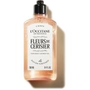 L'Occitane Fleurs De Cerisier (Cherry Blossom) Showergel 250 ml