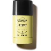 L'Occitane Cédrat Stick Deodorant 70 g