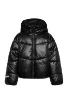 Jacket Puffer Foret Jakke Black Lindex