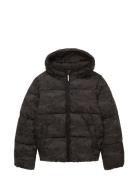 Puffer Winter Jacket With Hood Foret Jakke Black Tom Tailor