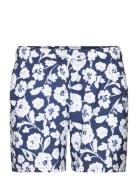 Hco. Guys Swim Badeshorts Blue Hollister