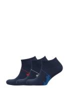 Big Pony Sock 3-Pack Ankelstrømper Korte Strømper Blue Polo Ralph Lauren Underwear