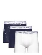 Bci Cotton/Elastane-3Pk-Bxb Boxershorts Navy Polo Ralph Lauren Underwear