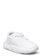 Ozelia El C Low-top Sneakers White Adidas Originals