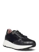 Primrose Low-top Sneakers Black Dasia