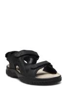 Loop Marstrand Sandal Brun 46 Shoes Summer Shoes Sandals Black Marstrand