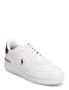 Smooth/Grny Lth-Masters Crt-Sk-Ltl Low-top Sneakers Multi/patterned Polo Ralph Lauren