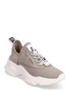 Match-E Low-top Sneakers Beige Steve Madden