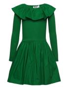 Cille Dresses & Skirts Dresses Casual Dresses Long-sleeved Casual Dresses Green Molo