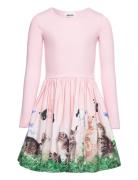 Casie Dresses & Skirts Dresses Casual Dresses Long-sleeved Casual Dresses Pink Molo