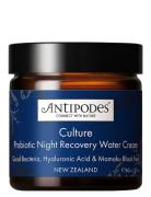 Culture Probiotic Night Cream Beauty Women Skin Care Face Moisturizers Night Cream Nude Antipodes