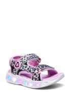 Girls Heart Lights - Savvy Cat Shoes Summer Shoes Sandals Multi/patterned Skechers