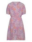 Nkffida Ss Dress Pb Dresses & Skirts Dresses Casual Dresses Short-sleeved Casual Dresses Purple Name It