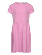 Solid Rib Dress Dresses & Skirts Dresses Casual Dresses Short-sleeved Casual Dresses Pink Tom Tailor