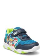 Pawpatrol Sneakers Low-top Sneakers Blue Paw Patrol