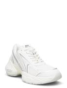 Satellite Sneaker Low-top Sneakers White Steve Madden
