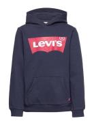 Levi's® Screenprint Batwing Pullover Hoodie Tops Sweatshirts & Hoodies Hoodies Blue Levi's