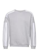 Squadra21 Sweat Top Sport Sweatshirts & Hoodies Sweatshirts Grey Adidas Performance