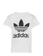 Trefoil Tee Tops T-Kortærmet Skjorte White Adidas Originals