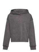 Nkfnilea Ls Top Boxy Short Wh Tops Sweatshirts & Hoodies Hoodies Grey Name It