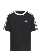 G 3S Bf T Sport T-Kortærmet Skjorte Black Adidas Sportswear
