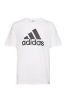 Essentials Single Jersey Big Logo T-Shirt Sport T-Kortærmet Skjorte White Adidas Sportswear