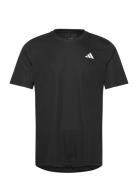 Club Tee Sport T-Kortærmet Skjorte Black Adidas Performance