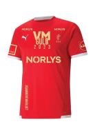 Teamliga Jersey Sport T-Kortærmet Skjorte Red PUMA