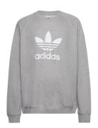 Trefoil Crew Sport Sweatshirts & Hoodies Sweatshirts Grey Adidas Originals