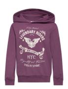 Nkmvugo Ls Sweat Wh Bru O1 Tops Sweatshirts & Hoodies Hoodies Purple Name It