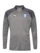 Teamcup Training Jacket Sport Sweatshirts & Hoodies Sweatshirts Grey MALMÖ FF