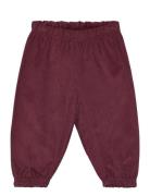 Corduroy Flared Pants Baby Bottoms Trousers Burgundy Müsli By Green Cotton