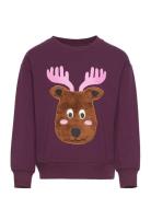 Sweater Placement Forest Tops Sweatshirts & Hoodies Sweatshirts Purple Lindex