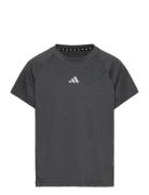 Jg Tee Lux Sport T-Kortærmet Skjorte Grey Adidas Sportswear