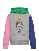 Polo Bear Color-Blocked Fleece Hoodie Tops Sweatshirts & Hoodies Hoodies Multi/patterned Ralph Lauren Kids