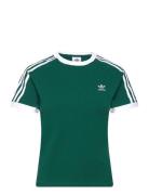 3 S Rgln Tee Sport T-shirts & Tops Short-sleeved Green Adidas Originals