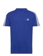 Essentials Single Jersey 3-Stripes T-Shirt Sport T-Kortærmet Skjorte Blue Adidas Sportswear