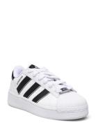 Superstar Xlg T J Sport Sneakers Low-top Sneakers White Adidas Originals