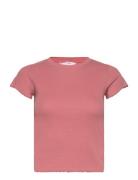 Top Ss Cotton Rib Babylock Tops T-shirts & Tops Short-sleeved Pink Hunkemöller