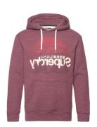 Cl Great Outdoors Graphic Hood Tops Sweatshirts & Hoodies Hoodies Burgundy Superdry